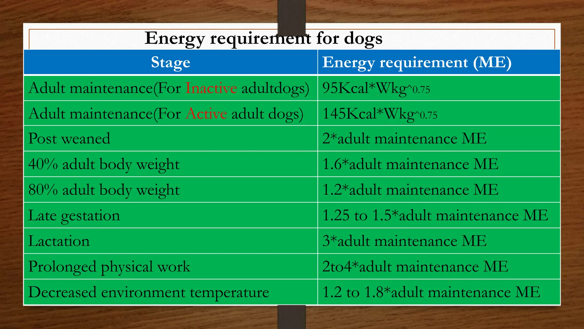 Me Nutrition in Dogs: Essential Tips for Optimal Health