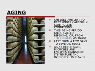 Cheese | PPT