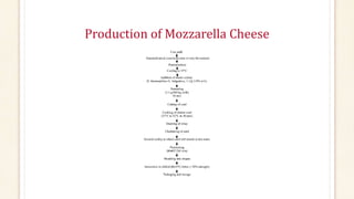 Production of Mozzarella Cheese
 