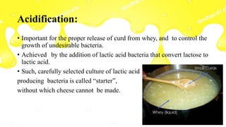 Cheese | PDF
