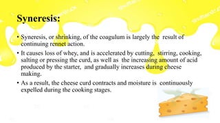 Syneresis:
• Syneresis, or shrinking, of the coagulum is largely the result of
continuing rennet action.
• It causes loss of whey, and is accelerated by cutting, stirring, cooking,
salting or pressing the curd, as well as the increasing amount of acid
produced by the starter, and gradually increases during cheese
making.
• As a result, the cheese curd contracts and moisture is continuously
expelled during the cooking stages.
 