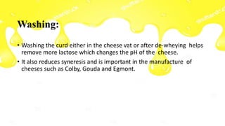 Washing:
• Washing the curd either in the cheese vat or after de-wheying helps
remove more lactose which changes the pH of the cheese.
• It also reduces syneresis and is important in the manufacture of
cheeses such as Colby, Gouda and Egmont.
 