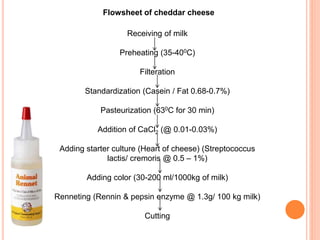 Milk Cheese- preparation, technology, utilization | PPTX