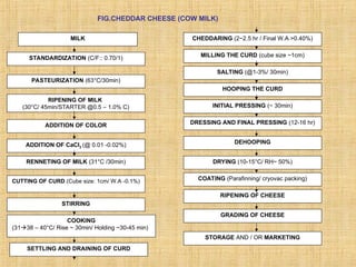 Comprehensive Overview of Cheese Technology and Manufacturing Processes ...
