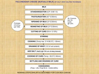 Comprehensive Overview of Cheese Technology and Manufacturing Processes ...