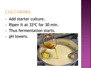 • Add starter culture.
• Ripen it at 32oC for 30 min.
• Thus fermentation starts.
• pH lowers.
 
