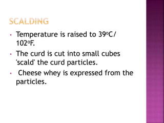• Temperature is raised to 39oC/
102oF.
• The curd is cut into small cubes
'scald' the curd particles.
• Cheese whey is expressed from the
particles.
 