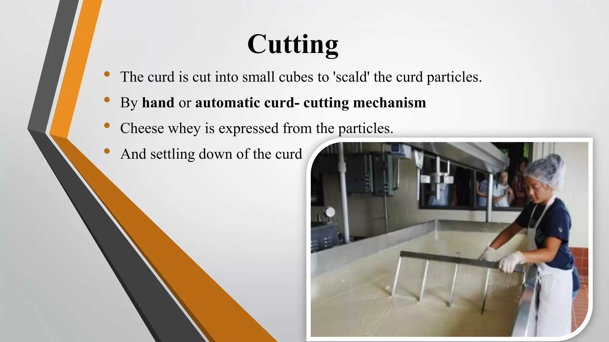 Cheese fermentation | PDF