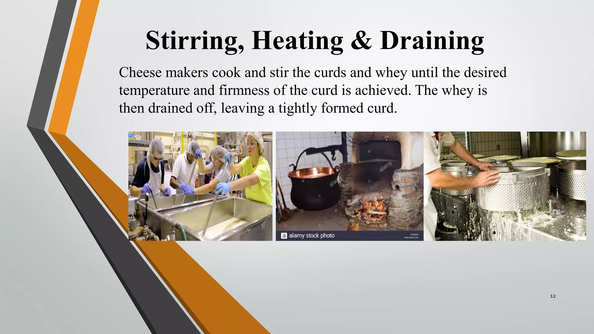 Cheese fermentation | PDF