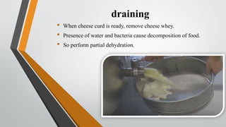 Cheese Fermentation.pdf Cheese fermentation | PDF