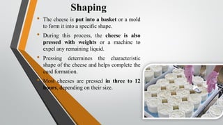 Cheese Fermentation.pdf Cheese fermentation | PDF