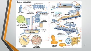 Cheese Fermentation.pdf Cheese fermentation | PDF