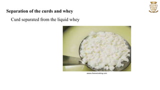 Separation of the curds and whey
Curd separated from the liquid whey
www.cheesemaking.com
 