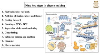 Nine key steps in cheese making
1. Pretreatment of raw milk
2. Addition of starter culture and Rennet
3. Cutting the curd
4. Cooking at 32°C - 54°C
5. Separation of the curds and whey
6. Cheddaring
7. Salting or brining and molding
8. Ripening
9. Cheese packing
 
