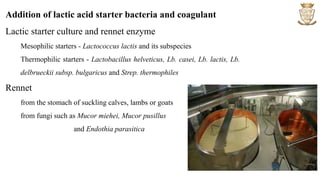 Addition of lactic acid starter bacteria and coagulant
Lactic starter culture and rennet enzyme
Mesophilic starters - Lactococcus lactis and its subspecies
Thermophilic starters - Lactobacillus helveticus, Lb. casei, Lb. lactis, Lb.
delbrueckii subsp. bulgaricus and Strep. thermophiles
Rennet
from the stomach of suckling calves, lambs or goats
from fungi such as Mucor miehei, Mucor pusillus
and Endothia parasitica
 