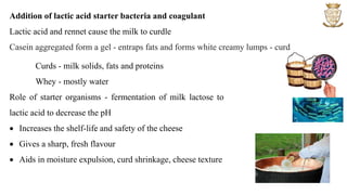 Curds - milk solids, fats and proteins
Whey - mostly water
Role of starter organisms - fermentation of milk lactose to
lactic acid to decrease the pH
 Increases the shelf-life and safety of the cheese
 Gives a sharp, fresh flavour
 Aids in moisture expulsion, curd shrinkage, cheese texture
Addition of lactic acid starter bacteria and coagulant
Lactic acid and rennet cause the milk to curdle
Casein aggregated form a gel - entraps fats and forms white creamy lumps - curd
 