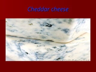 Comprehensive History and Definition of Cheese with Focus on Cheddar ...