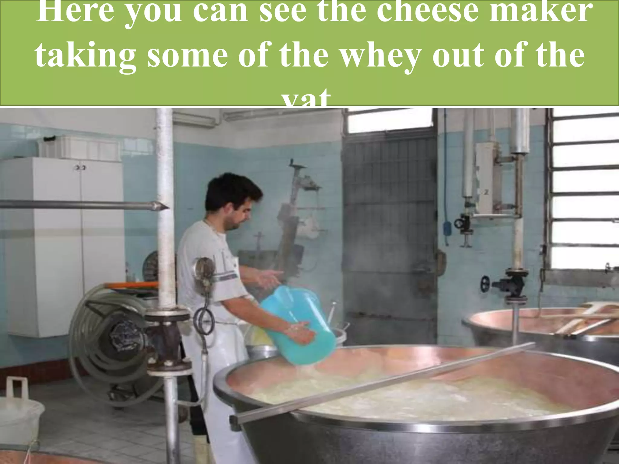 Here you can see the cheese maker
taking some of the whey out of the
               vat.
 
