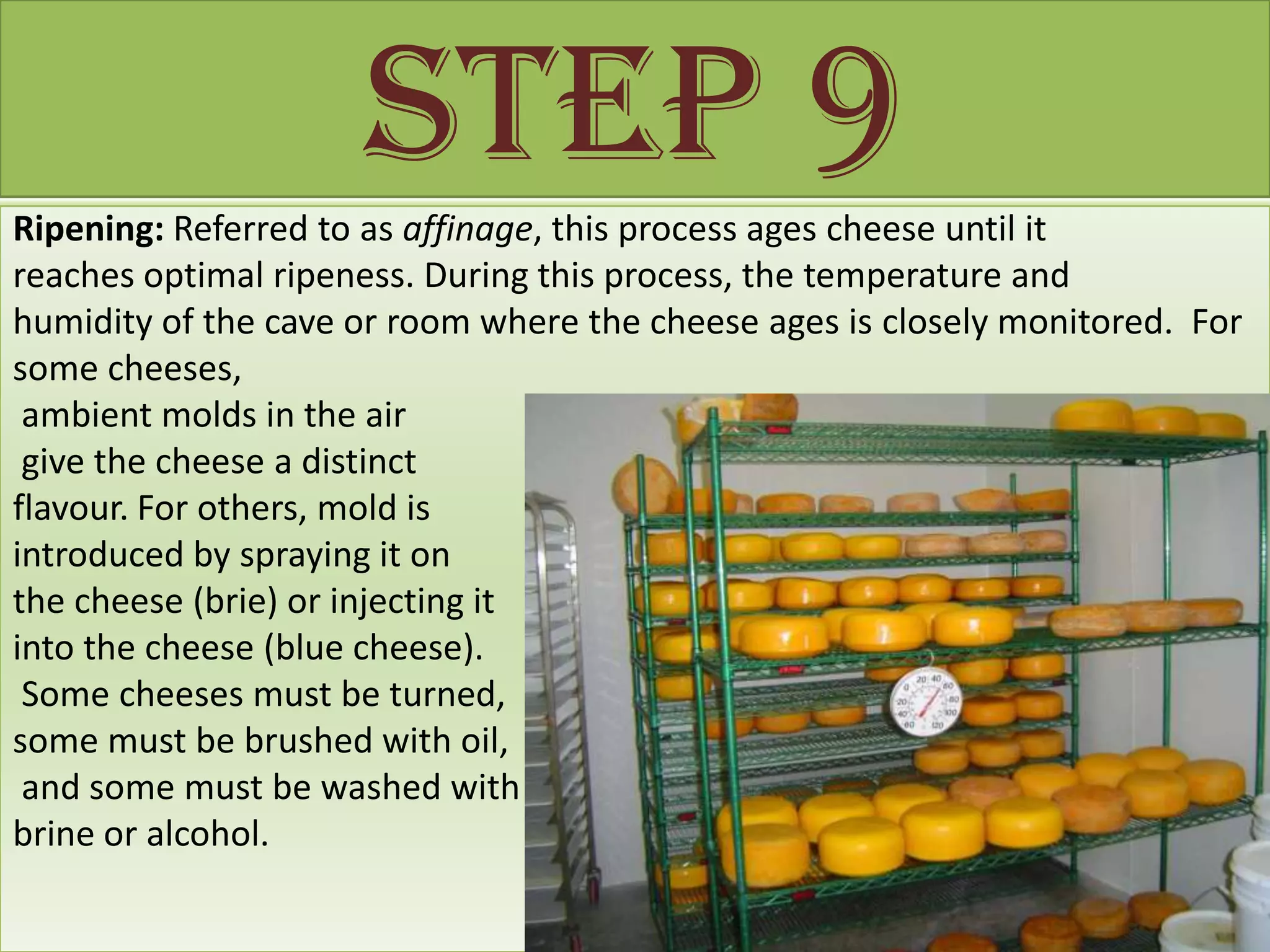 Step 9
Ripening: Referred to as affinage, this process ages cheese until it
reaches optimal ripeness. During this process, the temperature and
humidity of the cave or room where the cheese ages is closely monitored. For
some cheeses,
 ambient molds in the air
 give the cheese a distinct
flavour. For others, mold is
introduced by spraying it on
the cheese (brie) or injecting it
into the cheese (blue cheese).
 Some cheeses must be turned,
some must be brushed with oil,
 and some must be washed with
brine or alcohol.
 