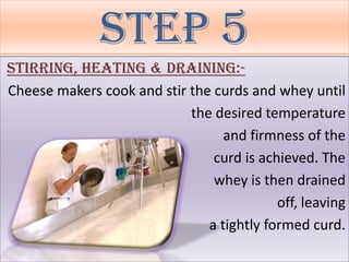 Step 5
Stirring, Heating & Draining:-
Cheese makers cook and stir the curds and whey until
                            the desired temperature
                                  and firmness of the
                                curd is achieved. The
                                whey is then drained
                                           off, leaving
                               a tightly formed curd.
 