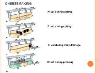 CHEESEMAKING
A: vat during stirring
B: vat during cutting
C: vat during whey drainage
D: vat during pressing
 