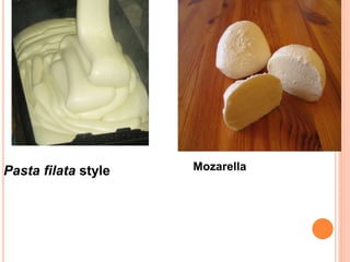 Pasta filata style Mozarella
 