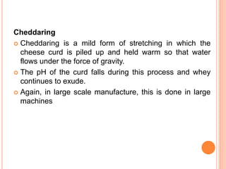 Cheddaring
 Cheddaring is a mild form of stretching in which the
cheese curd is piled up and held warm so that water
flows under the force of gravity.
 The pH of the curd falls during this process and whey
continues to exude.
 Again, in large scale manufacture, this is done in large
machines
 