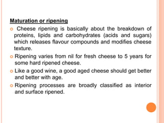 Maturation or ripening
 Cheese ripening is basically about the breakdown of
proteins, lipids and carbohydrates (acids and sugars)
which releases flavour compounds and modifies cheese
texture.
 Ripening varies from nil for fresh cheese to 5 years for
some hard ripened cheese.
 Like a good wine, a good aged cheese should get better
and better with age.
 Ripening processes are broadly classified as interior
and surface ripened.
 