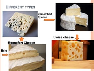 DIFFERENT TYPES
Roquefort Cheese
Camembert
Cheese
Brie
Swiss cheese
 
