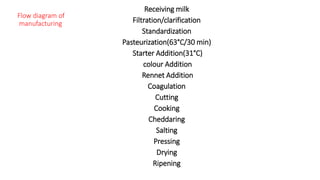 Cheese production by Ayan Santra | PPT