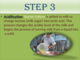 Step 3
• Acidification: Starter culture is added to milk to
change lactose (milk sugar) into lactic acid. This
process changes the acidity level of the milk and
begins the process of turning milk from a liquid into
a solid.
 