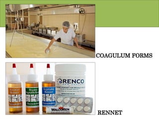 COAGULUM FORMS
RENNET
 