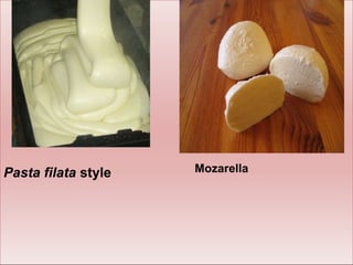 Pasta filata style Mozarella
 