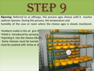 Step 9
Ripening: Referred to as affinage, this process ages cheese until it reaches
optimal ripeness. During this process, the temperature and
humidity of the cave or room where the cheese ages is closely monitored.
•Ambient molds in the air give the cheese a distinct flavour.
•Mold is introduced by spraying it on the cheese
•Injecting it into the cheese (blue cheese).
Some cheeses must be turned, some must be brushed with oil, and some
must be washed with brine or alcohol.
 