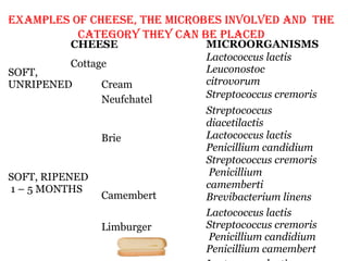 Examples of cheese, the microbes involved and the
category they can be placed
SOFT,
UNRIPENED
CHEESE
Cottage
Cream
Neufchatel
SOFT, RIPENED
1 – 5 MONTHS
Brie
Camembert
Limburger
MICROORGANISMS
Lactococcus lactis
Leuconostoc
citrovorum
Streptococcus cremoris
Streptococcus
diacetilactis
Lactococcus lactis
Penicillium candidium
Streptococcus cremoris
Penicillium
camemberti
Brevibacterium linens
Lactococcus lactis
Streptococcus cremoris
Penicillium candidium
Penicillium camembert
 