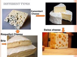 DIFFERENT TYPES
Camembert
Cheese
Swiss cheese
Roquefort Cheese
Brie
 