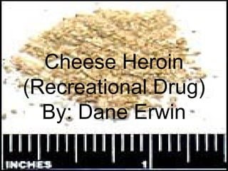 Cheese Heroin (Recreational Drug) By: Dane Erwin 
