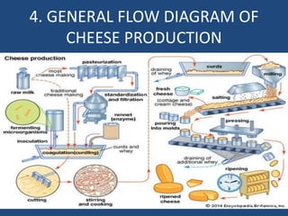 Cheese Technology | PPTX