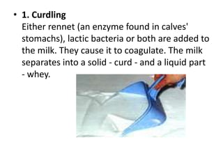 1. CurdlingEither rennet (an enzyme found in calves' stomachs), lactic bacteria or both are added to the milk. They cause it to coagulate. The milk separates into a solid - curd - and a liquid part - whey.