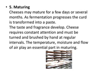 5. MaturingCheeses may mature for a few days or several months. As fermentation progresses the curd is transformed into a paste.The taste and fragrance develop. Cheese requires constant attention and must be turned and brushed by hand at regular intervals. The temperature, moisture and flow of air play an essential part in maturing.