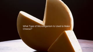 What Type of Microorganism Is Used to Make
Cheese?
 