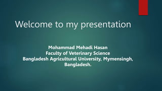 Welcome to my presentation
Mohammad Mehadi Hasan
Faculty of Veterinary Science
Bangladesh Agricultural University, Mymensingh,
Bangladesh.
 