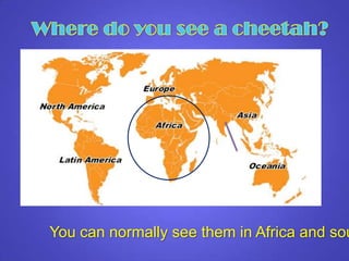 You can normally see them in Africa and sou
 