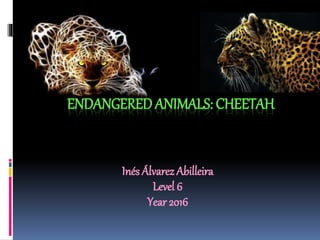ENDANGERED ANIMALS: CHEETAH
Inés Álvarez Abilleira
Level 6
Year 2016
 
