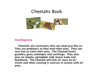 Cheetah Deanna | PPT