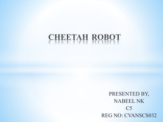 PRESENTED BY,
NABEEL NK
C5
REG NO: CVANSCS032