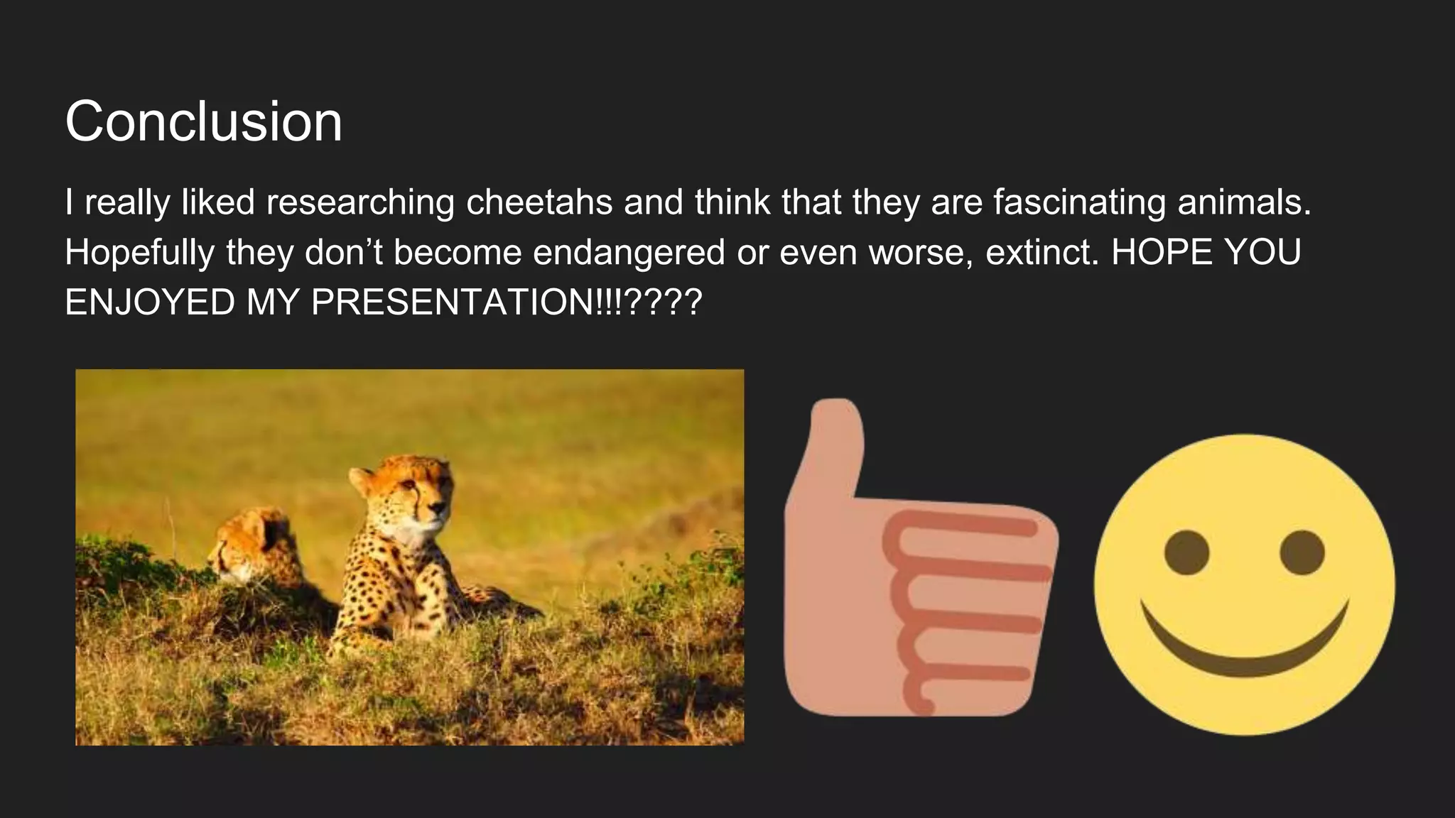 Conclusion
I really liked researching cheetahs and think that they are fascinating animals.
Hopefully they don’t become endangered or even worse, extinct. HOPE YOU
ENJOYED MY PRESENTATION!!!????