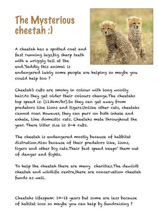 The Mysterious
cheetah :)
A cheetah has a spotted coat and
fast running legs,big sharp teeth
with a wriggly tail at the
end.‘Saddly this animal is
endangered lukly some people are helping so maybe you
could help too ?


Cheetah’s cubs are smoky in colour with long woolly
hair.As they get older their colours change.The cheetahs
top speed is: (113km/hr).So they can get away from
predators like lions and tigers.Unlike other cats, cheetahs
cannot roar. However, they can purr on both inhale and
exhale, like domestic cats. Cheetahs mate throughout the
year. There litter size is: 2-4 cubs.


The cheetah is endangered mostly because of habbitat
distrution.Also because of their predators like, lions,
tigers and other big cats.Their fast speed keeps’ them out
of danger and fights.


To help the cheetah there are many charities.The dewildt
cheetah and wildlife centre,there are conservation cheetah
funds as well.




Cheetahs lifespam: 10-12 years but some are less because
of habitat loss so maybe you can help by fundraising ?
 