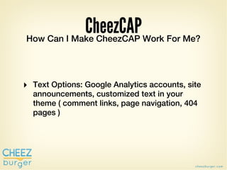CheezCAP Work For Me?
How Can I Make CheezCAP




‣ CheezCAP uses the WordPress options
  tables.
 