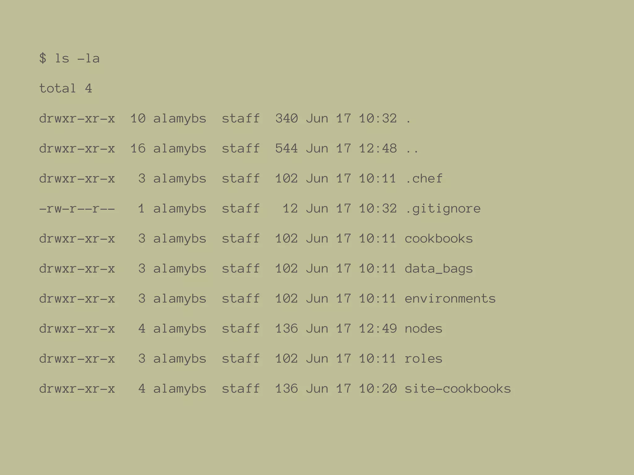 $ ls -la
total 4
drwxr-xr-x 10 alamybs staff 340 Jun 17 10:32 .
drwxr-xr-x 16 alamybs staff 544 Jun 17 12:48 ..
drwxr-xr-x 3 alamybs staff 102 Jun 17 10:11 .chef
-rw-r--r-- 1 alamybs staff 12 Jun 17 10:32 .gitignore
drwxr-xr-x 3 alamybs staff 102 Jun 17 10:11 cookbooks
drwxr-xr-x 3 alamybs staff 102 Jun 17 10:11 data_bags
drwxr-xr-x 3 alamybs staff 102 Jun 17 10:11 environments
drwxr-xr-x 4 alamybs staff 136 Jun 17 12:49 nodes
drwxr-xr-x 3 alamybs staff 102 Jun 17 10:11 roles
drwxr-xr-x 4 alamybs staff 136 Jun 17 10:20 site-cookbooks
 